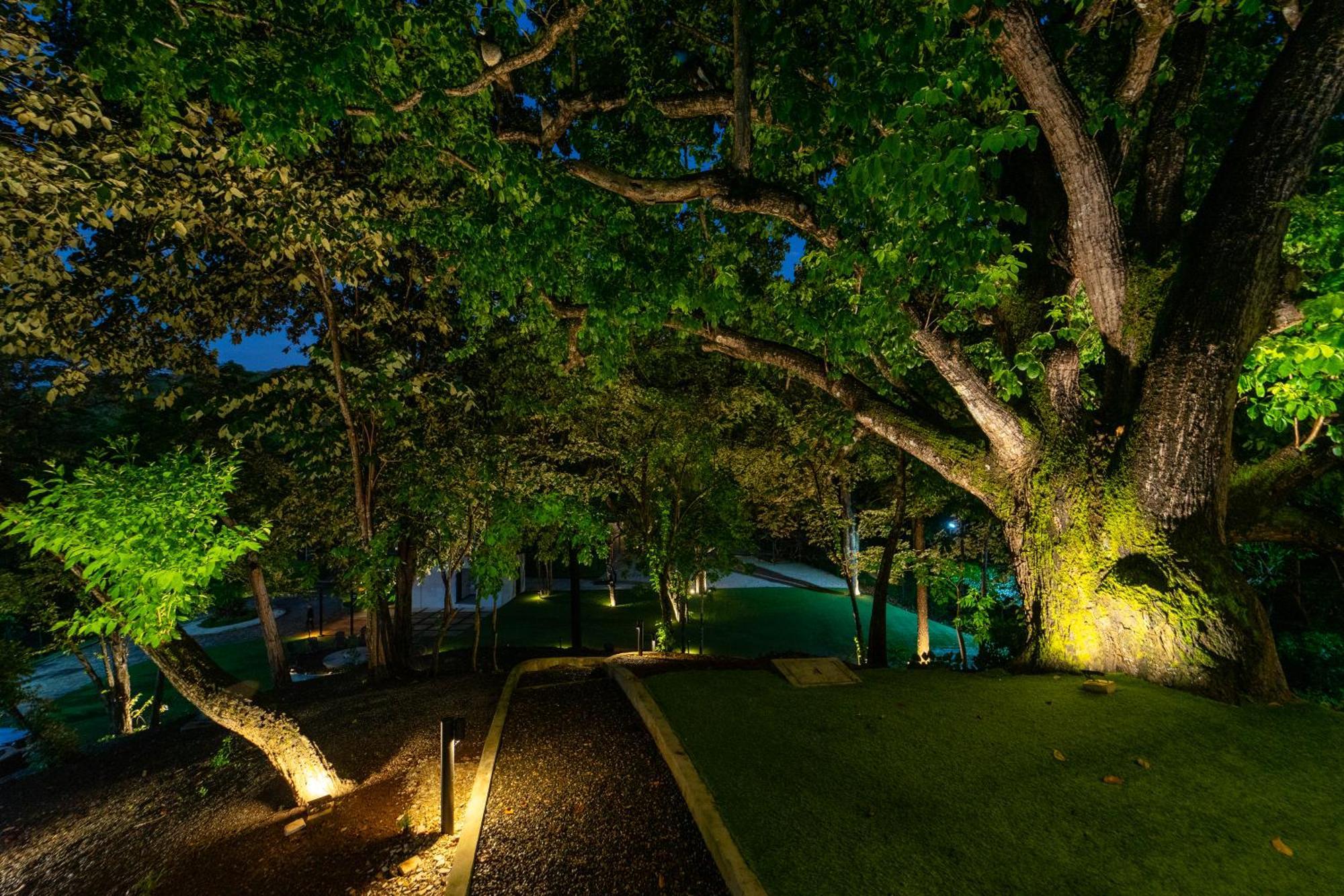 Epic Tamarindo Boutique Hotel Villarreal Luaran gambar