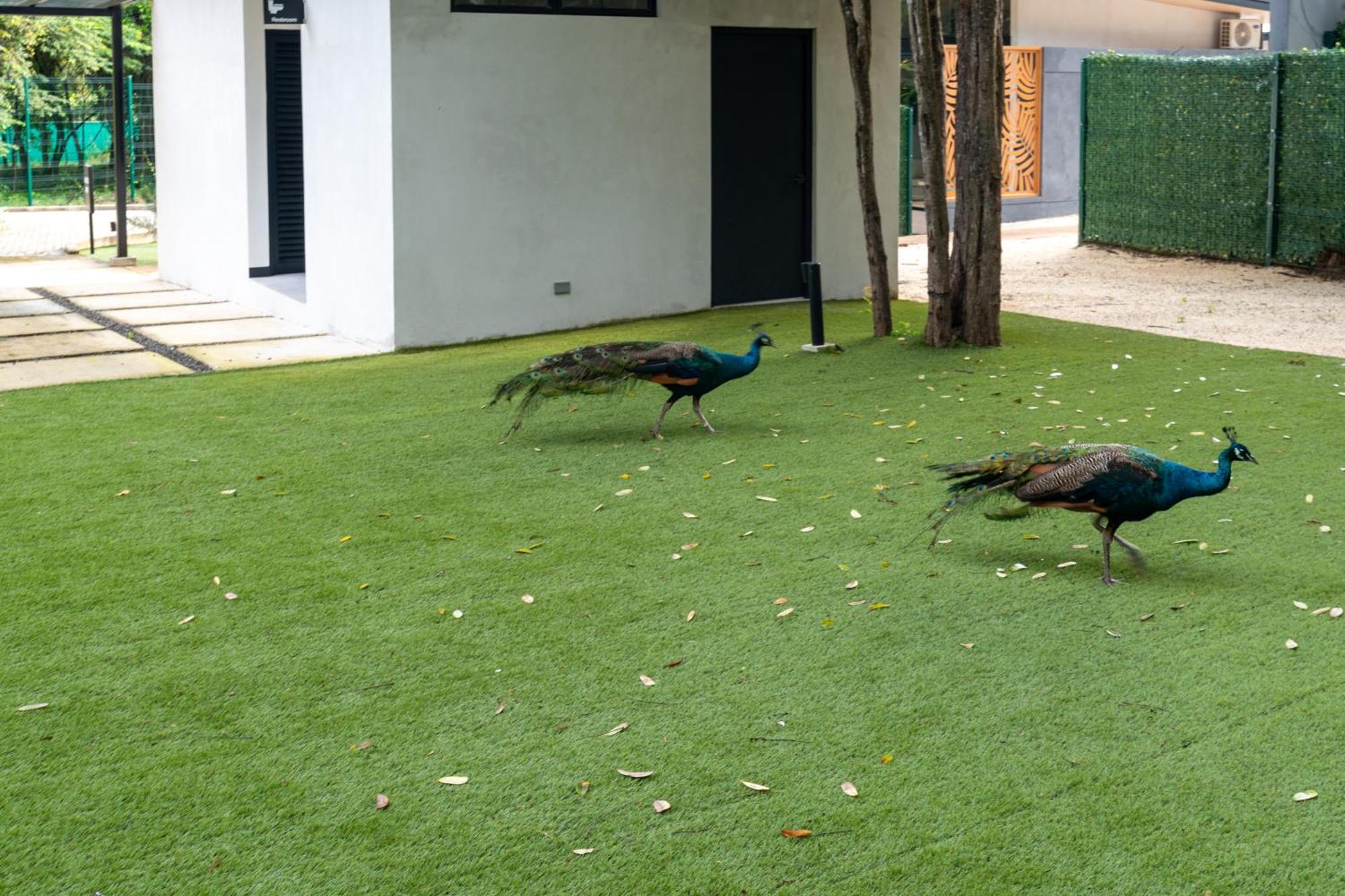 Epic Tamarindo Boutique Hotel Villarreal Luaran gambar